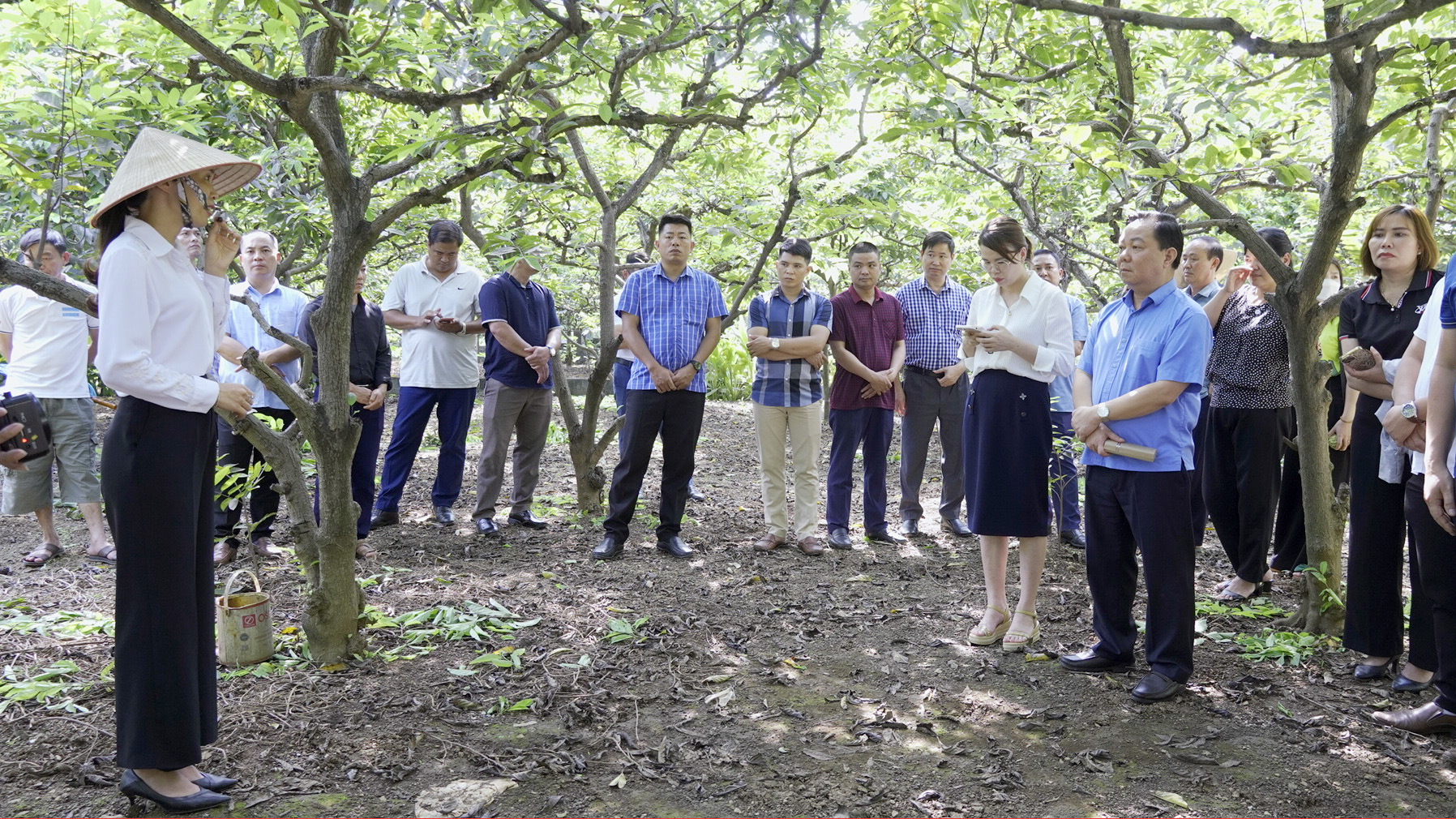 Xín Mần tham quan, học tập kinh nghiệm mô hình trồng Na tại xã La Hiên, huyện Võ Nhai, tỉnh Thái Nguyên