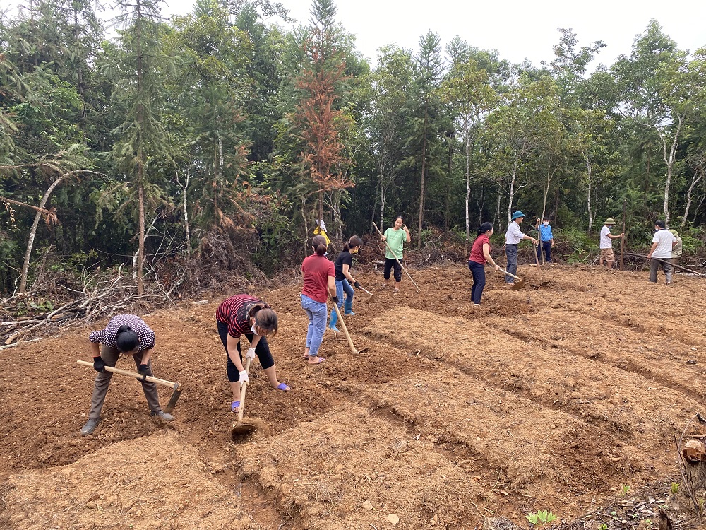 Mặt trận Tổ quốc và các Tổ chức chính trị xã hội hỗ trợ cải tạo vườn tạp tại thị trấn Cốc Pài