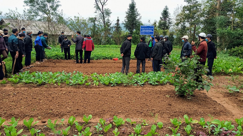 Tập huấn kỹ thuật Cải tạo vườn tạp tại xã Tả Nhìu