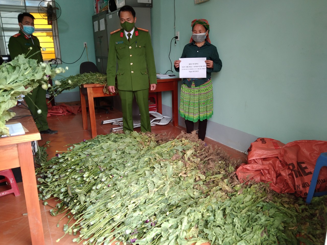Công an xã Quảng Nguyên bắt giữ đối tượng có hành vi trồng thuốc phiện