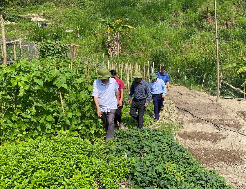 HĐND huyện Xín Mần - Giám sát kết quả thực hiện Chương trình cải tạo vườn tạp