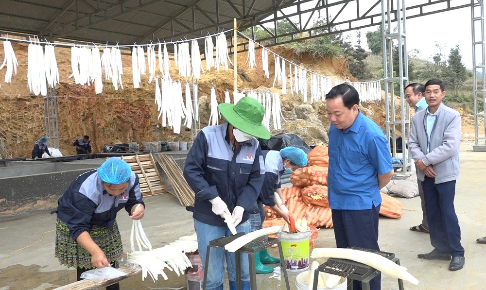 Đồng chí Phạm Duy Hiền, Chủ tịch UBND huyện thăm Xưởng sơ chế Củ cải tại xã Nàn Ma