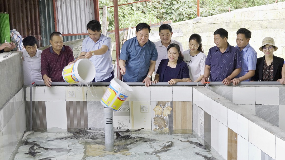 Chủ tịch UBND huyện Phạm Duy Hiền thăm trang trại nuôi cá nước lạnh